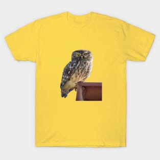 Beautiful Cute Barn Owl Staring With Wide Yellow Eyes T-Shirt